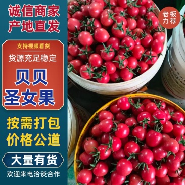 贝贝圣女果/基地直发/货源充足/大量有货/欢迎订购