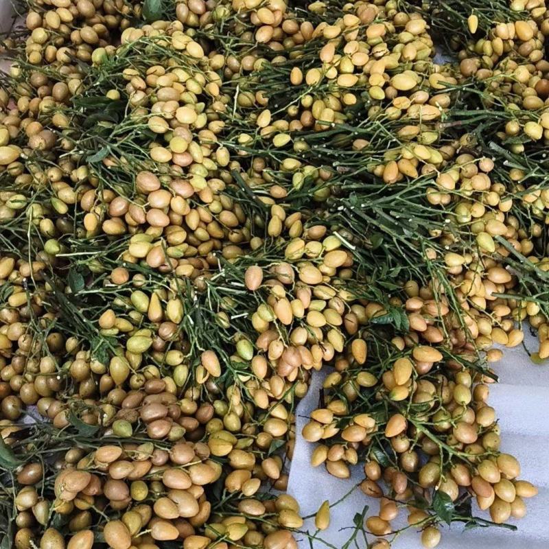 鸡心黄皮果奶茶