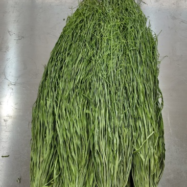 云南贡菜干苔干响菜干货自然晾晒无硫一手货源量大优