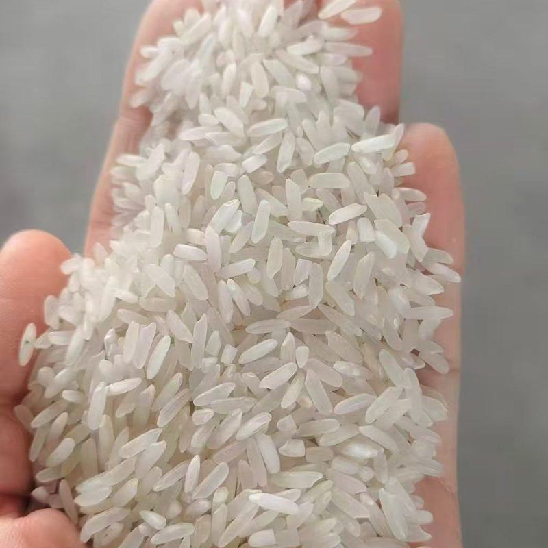 江西大米