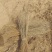 柠条苗，柠条杯苗基地直发自家苗圃大量供应可视频看货