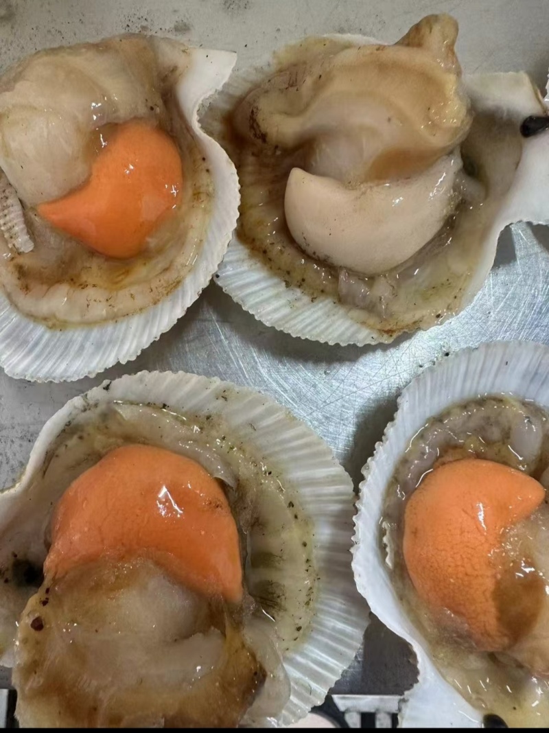 俄罗斯夏夷贝