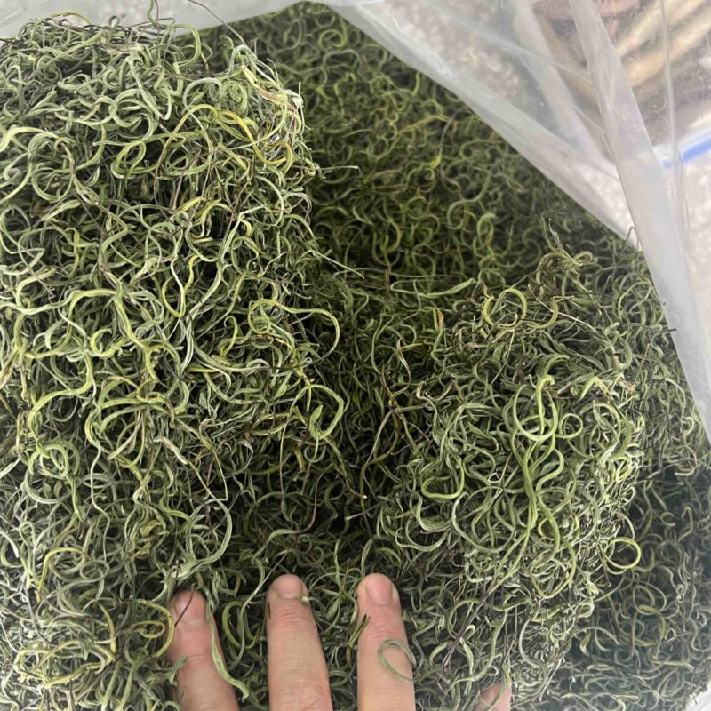 长白山纯本地货肾精茶，4—5十岁兄弟姐妹来吧