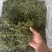 长白山纯本地货肾精茶，4—5十岁兄弟姐妹来吧