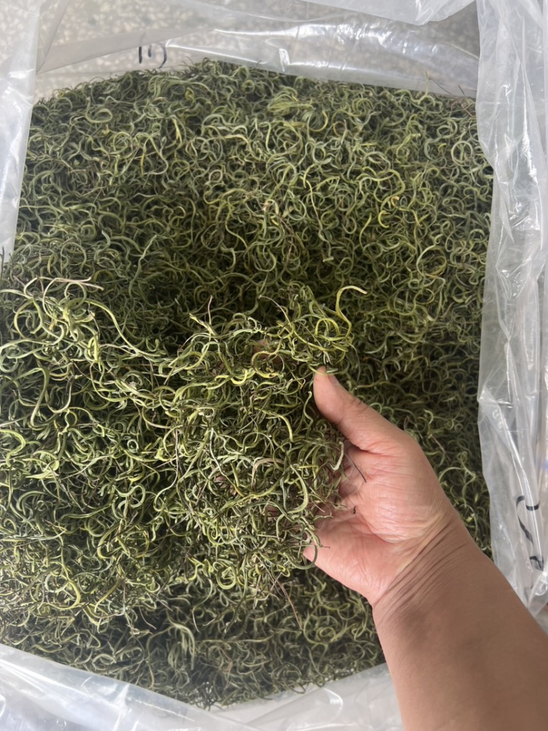 长白山纯本地货肾精茶，4—5十岁兄弟姐妹来吧