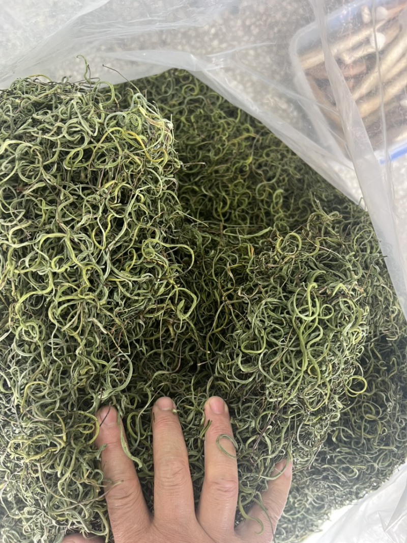 长白山纯本地货肾精茶，4—5十岁兄弟姐妹来吧