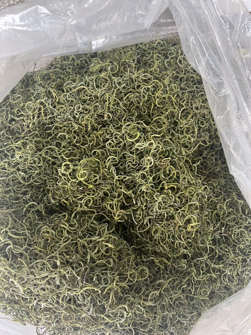长白山纯本地货肾精茶，4—5十岁兄弟姐妹来吧
