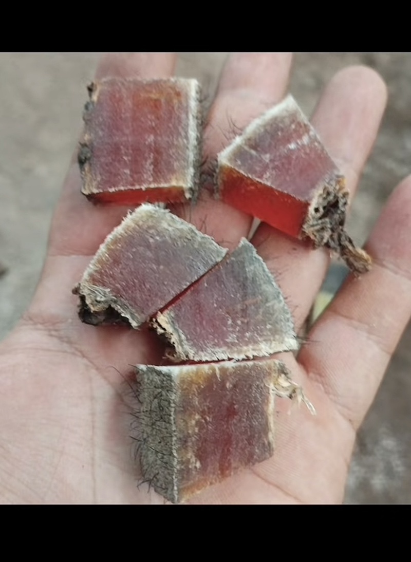 皮皮批发