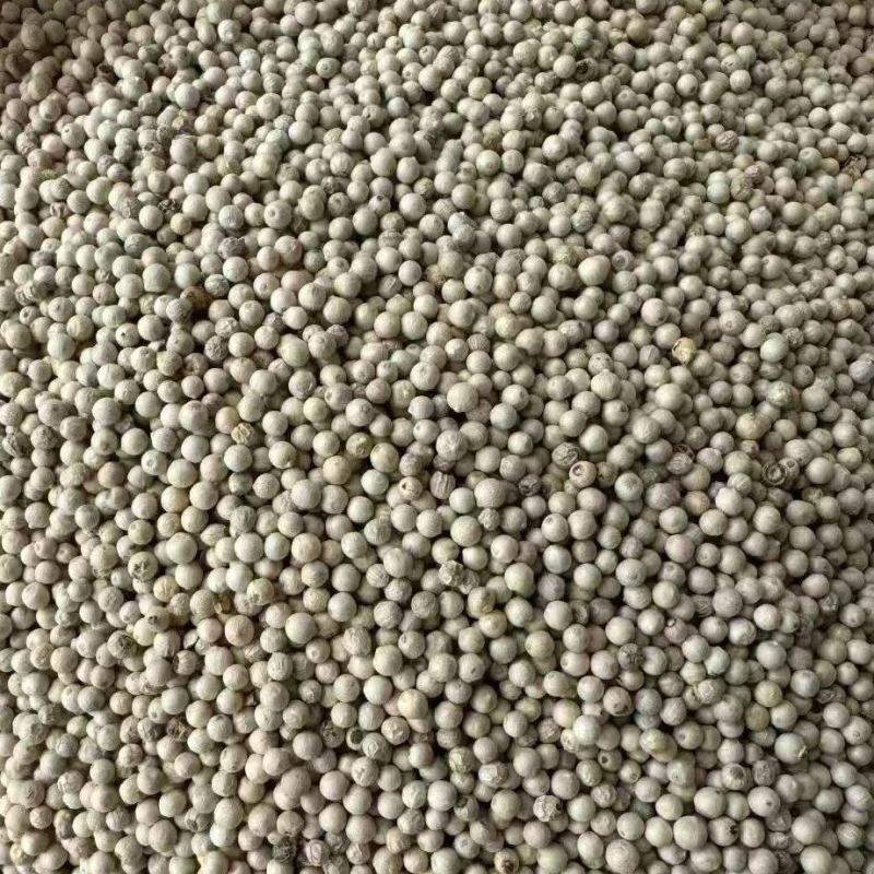 大批量批发白胡椒