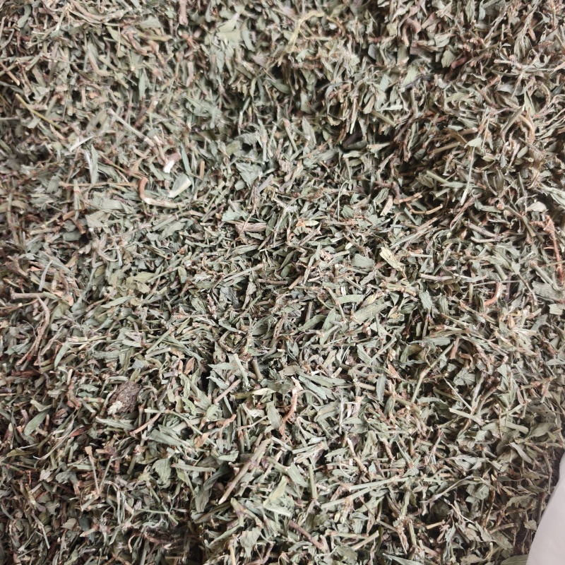 萹蓄扁蓄今年新货绿色颜色好实物拍摄产地山东省