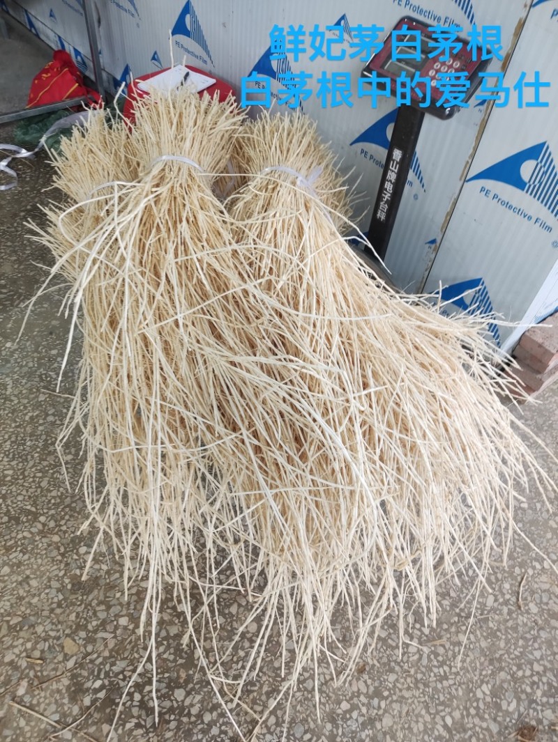 鲜妃茅精品无硫鲜白茅根，量大专业