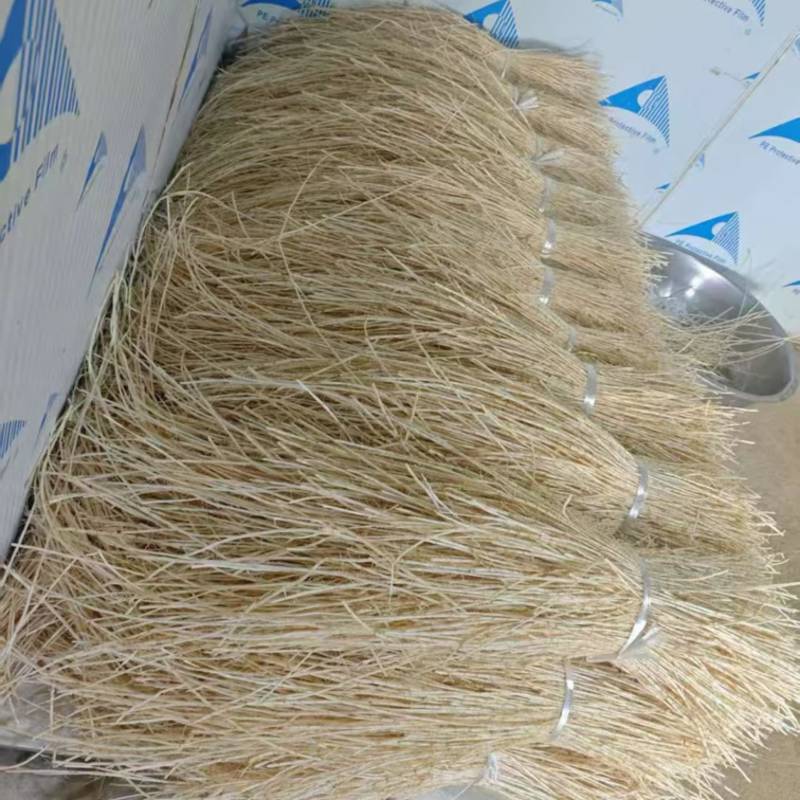 鲜妃茅精品鲜白茅根