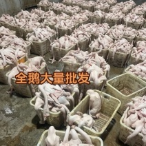 正宗潮汕生鲜狮头鹅肉支持视频看货场地验货可开票
