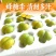 贵州蜂糖李