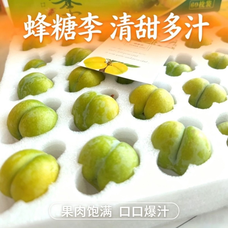 贵州蜂糖李