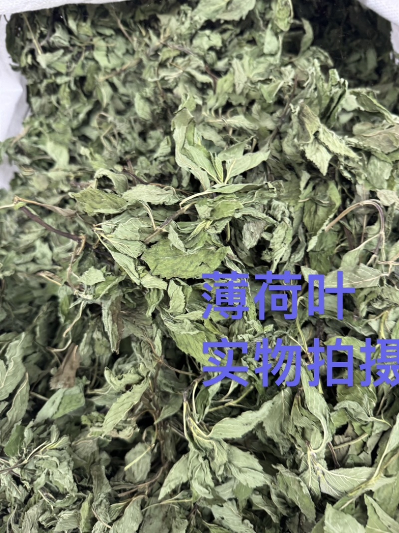 薄荷叶中药材今年新货正品无硫手工挑选全叶薄荷