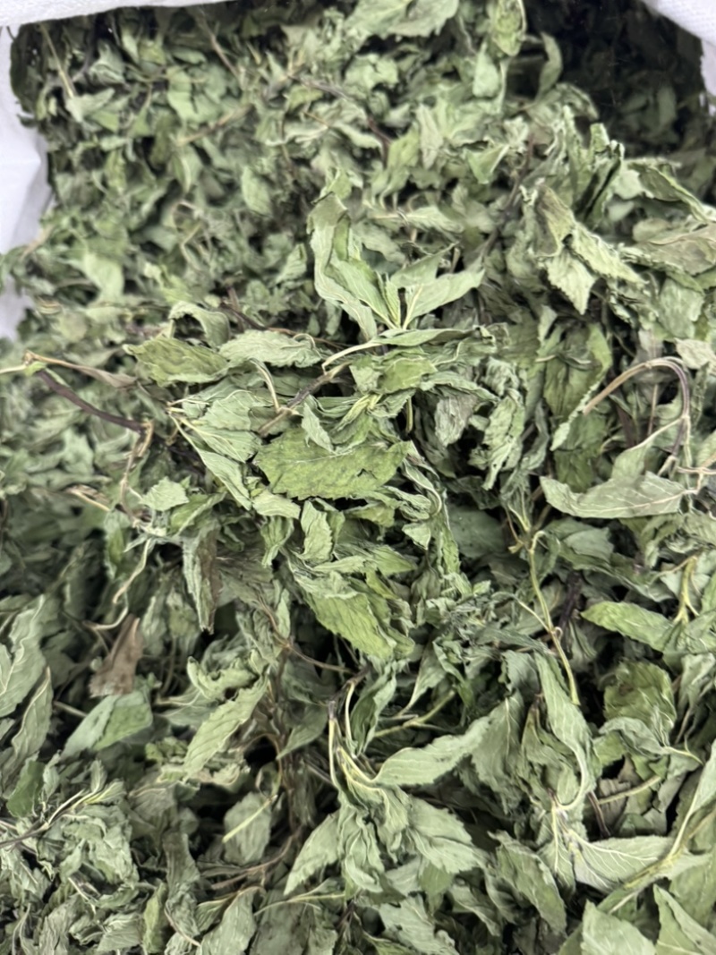 薄荷叶中药材今年新货正品无硫手工挑选全叶薄荷