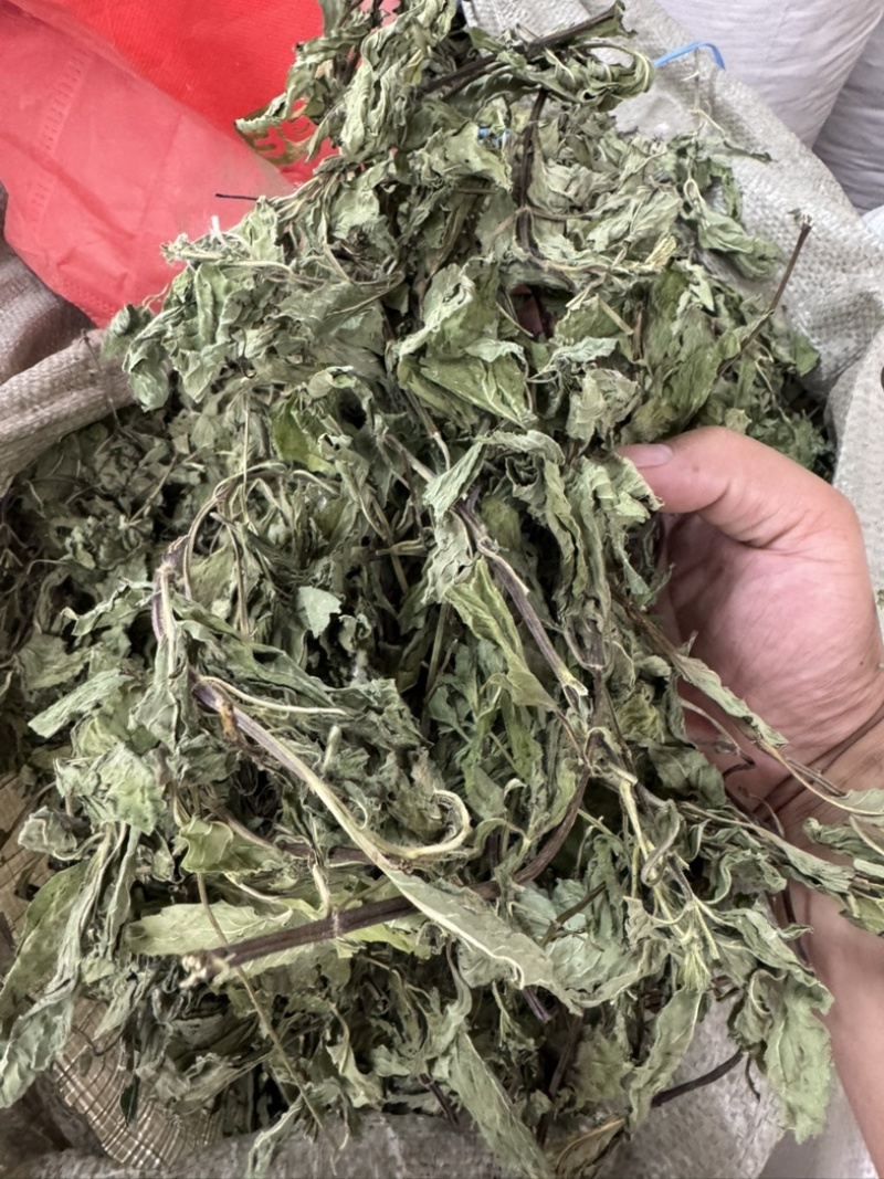 薄荷叶中药材今年新货正品无硫手工挑选全叶薄荷