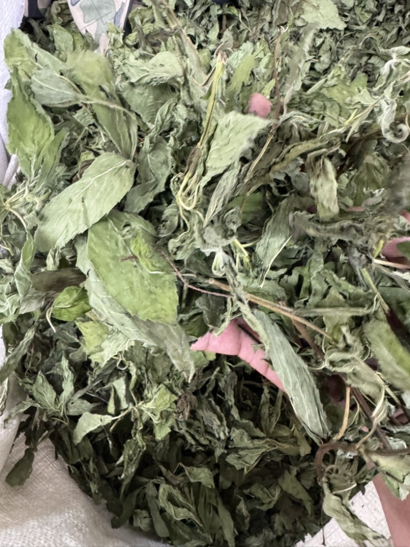 薄荷叶中药材今年新货正品无硫手工挑选全叶薄荷