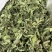 薄荷叶中药材今年新货正品无硫手工挑选全叶薄荷