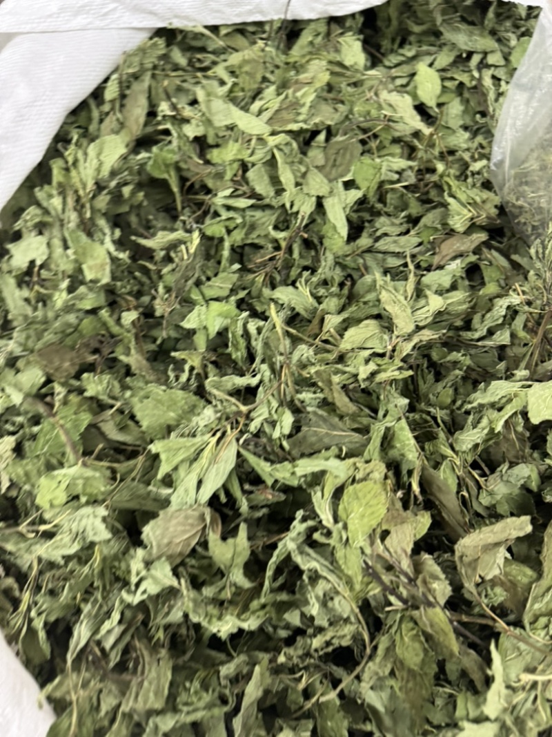 薄荷叶中药材今年新货正品无硫手工挑选全叶薄荷