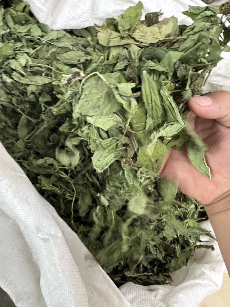 薄荷叶中药材今年新货正品无硫手工挑选全叶薄荷