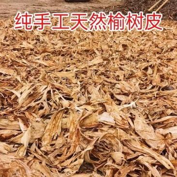 榆树皮中药材正品无硫水洗正宗榆白皮批发零售