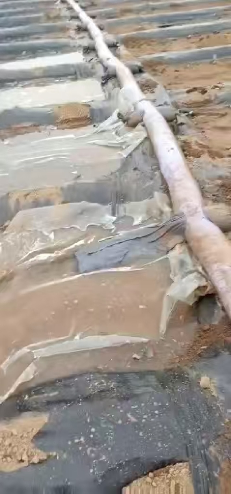 老铁们有需要精品布水带的请您及时联系。质量可靠，结实耐用