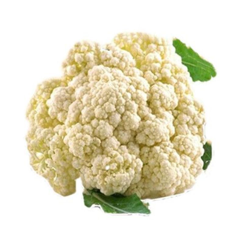 山东聊城产地白面青梗松花菜脆嫩饱满货源稳定商超市场优选货