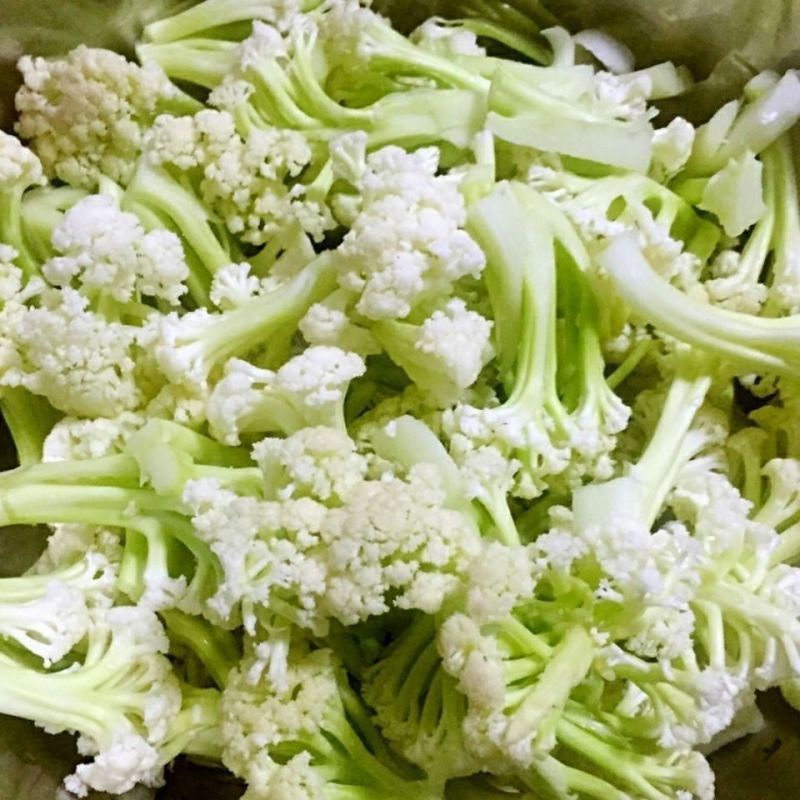 山东聊城产地白面青梗松花菜脆嫩饱满货源稳定商超市场优选货