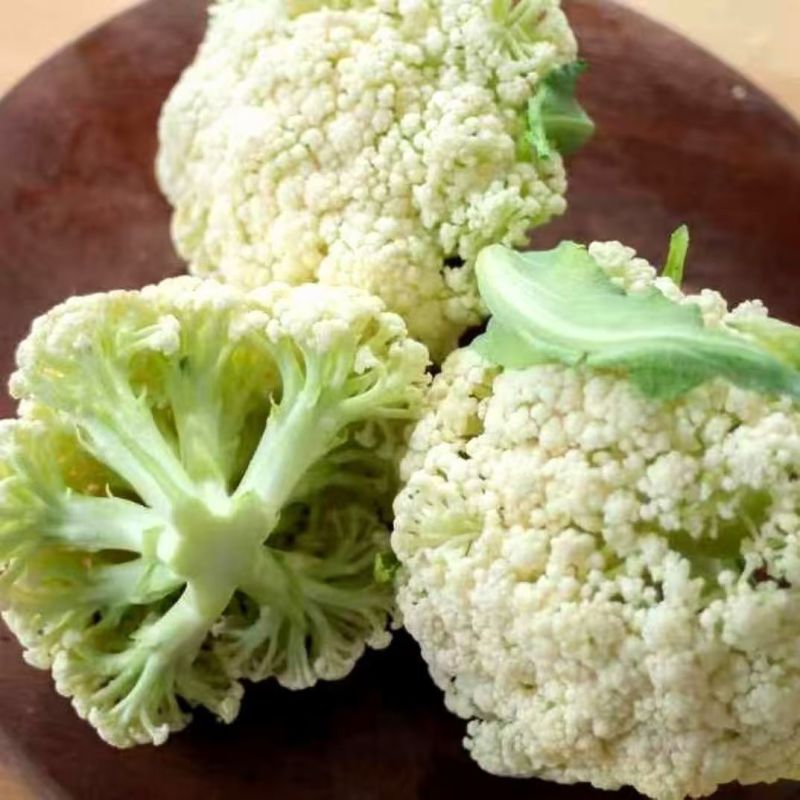 山东聊城产地白面青梗松花菜脆嫩饱满货源稳定商超市场优选货