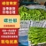 聊城精品螺丝椒现货充足辣味纯正品相端正产地一手货源