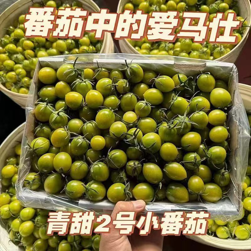 山东聊城青甜圣女果清甜多汁果匀新鲜产地电商市场商超直供