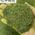 杜仲雄花花粉多花草茶深山采摘精选干货无硫原味养可批发