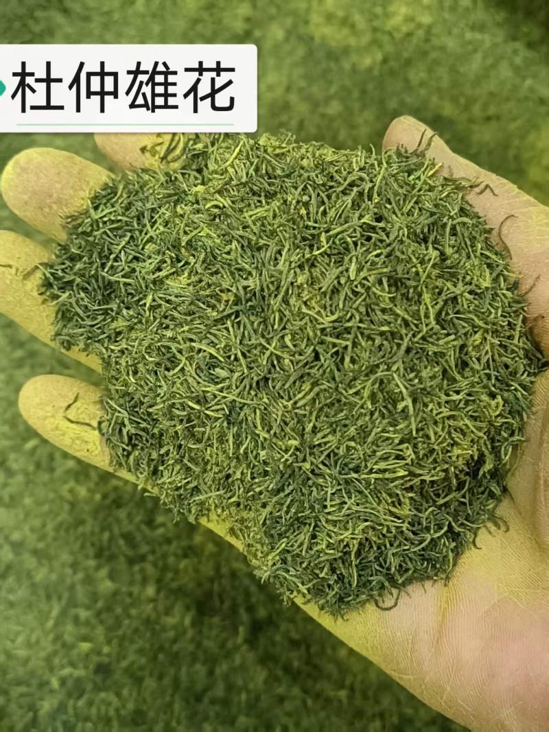 杜仲雄花花粉多花草茶深山采摘精选干货无硫原味养可批发