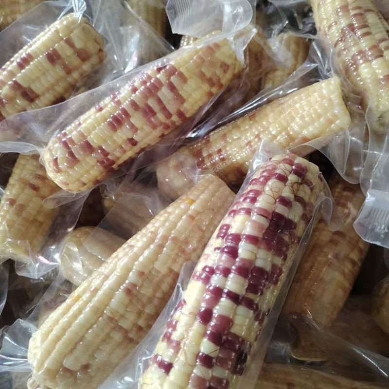 江苏徐州花糯玉米工厂直发一手货源诚信经营