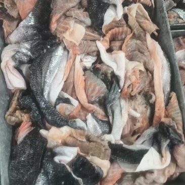 三文鱼皮