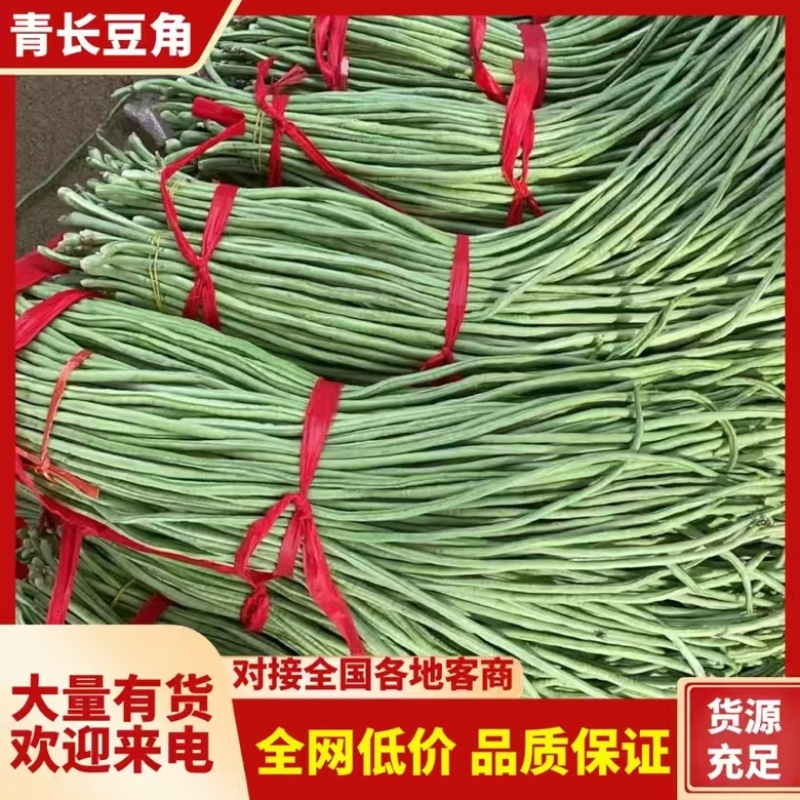 江苏徐州青条豆角大量上市产地代办代收诚信经营