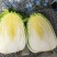 娃娃菜