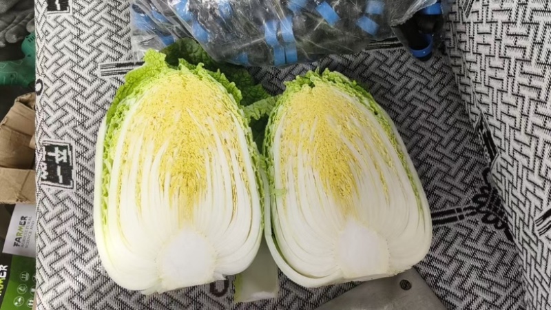 娃娃菜