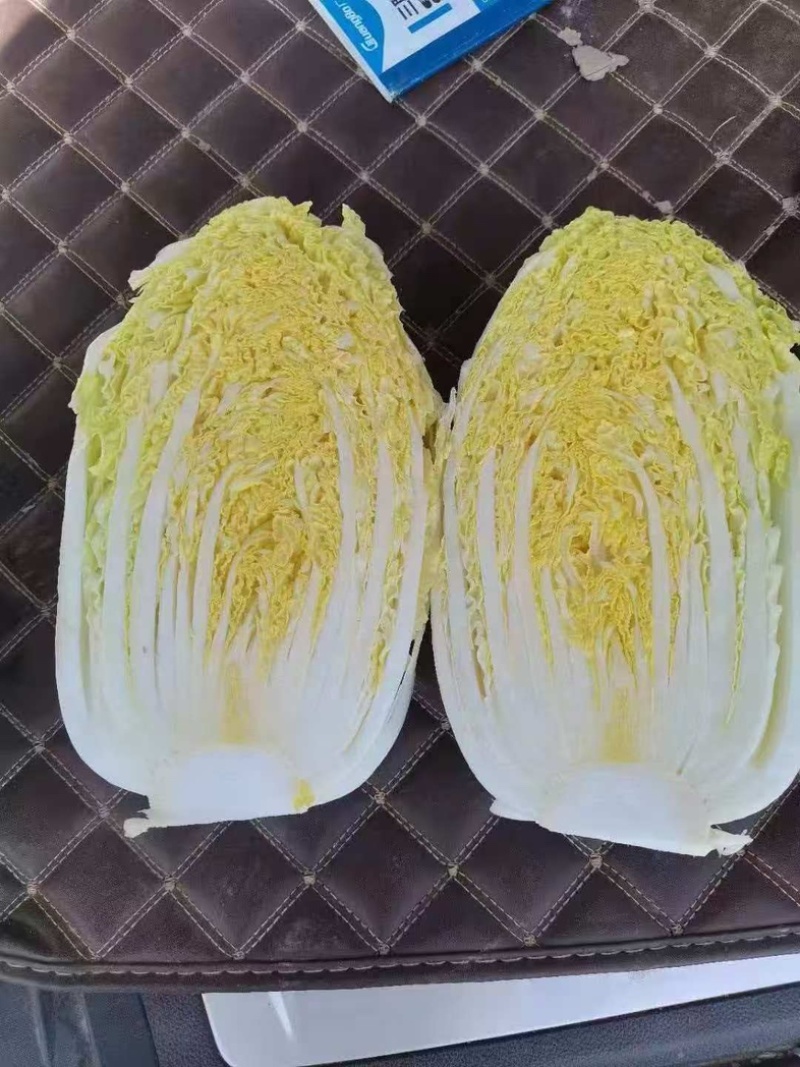 娃娃菜