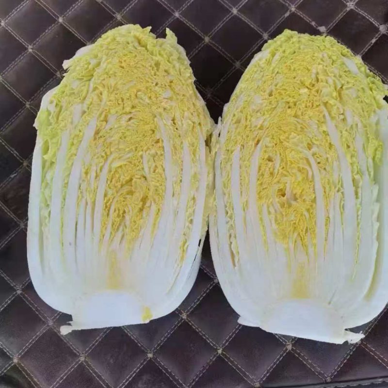 娃娃菜