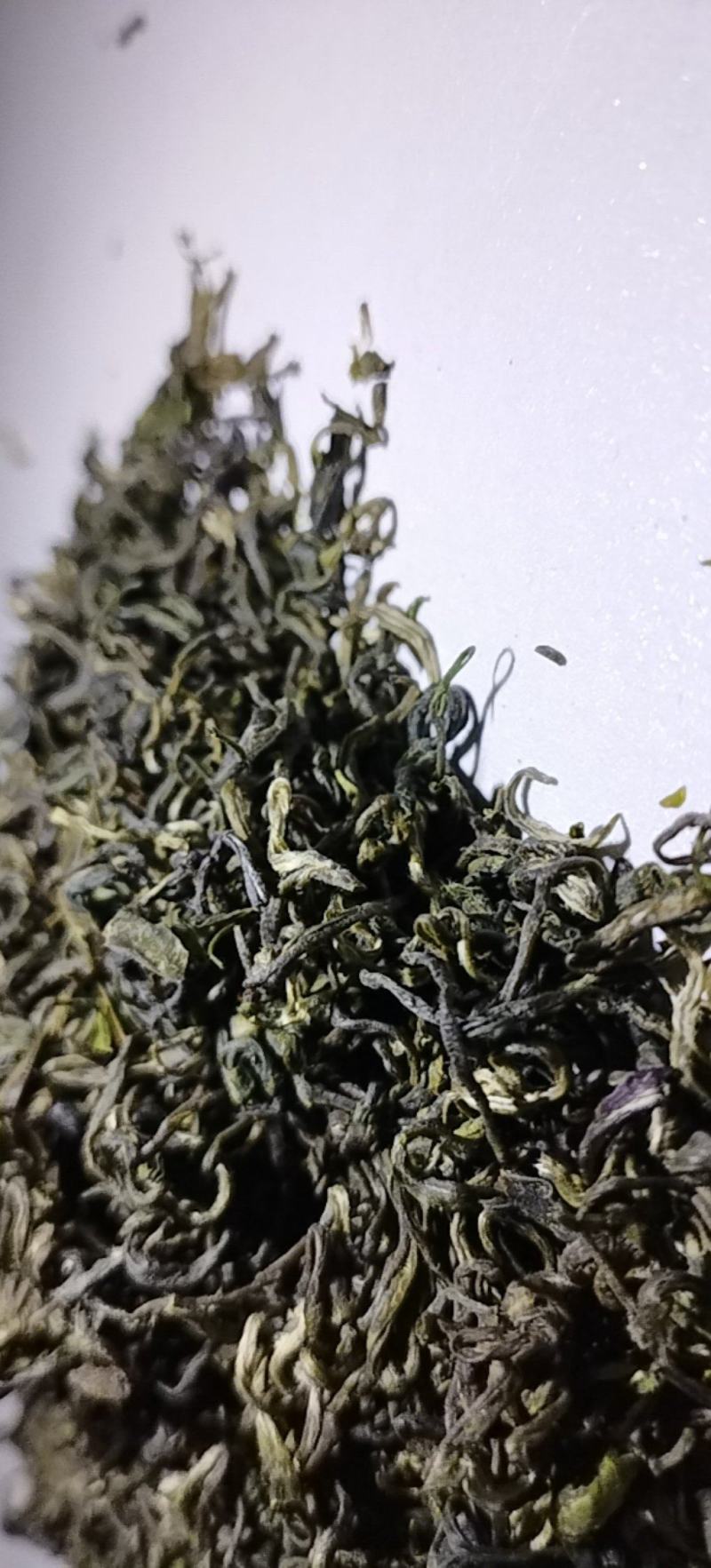 云雾茶