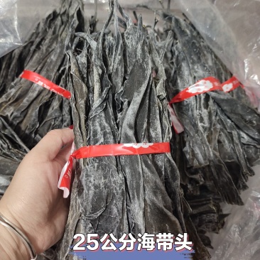 霞浦海带头，25公分，干净无沙，量大可聊
