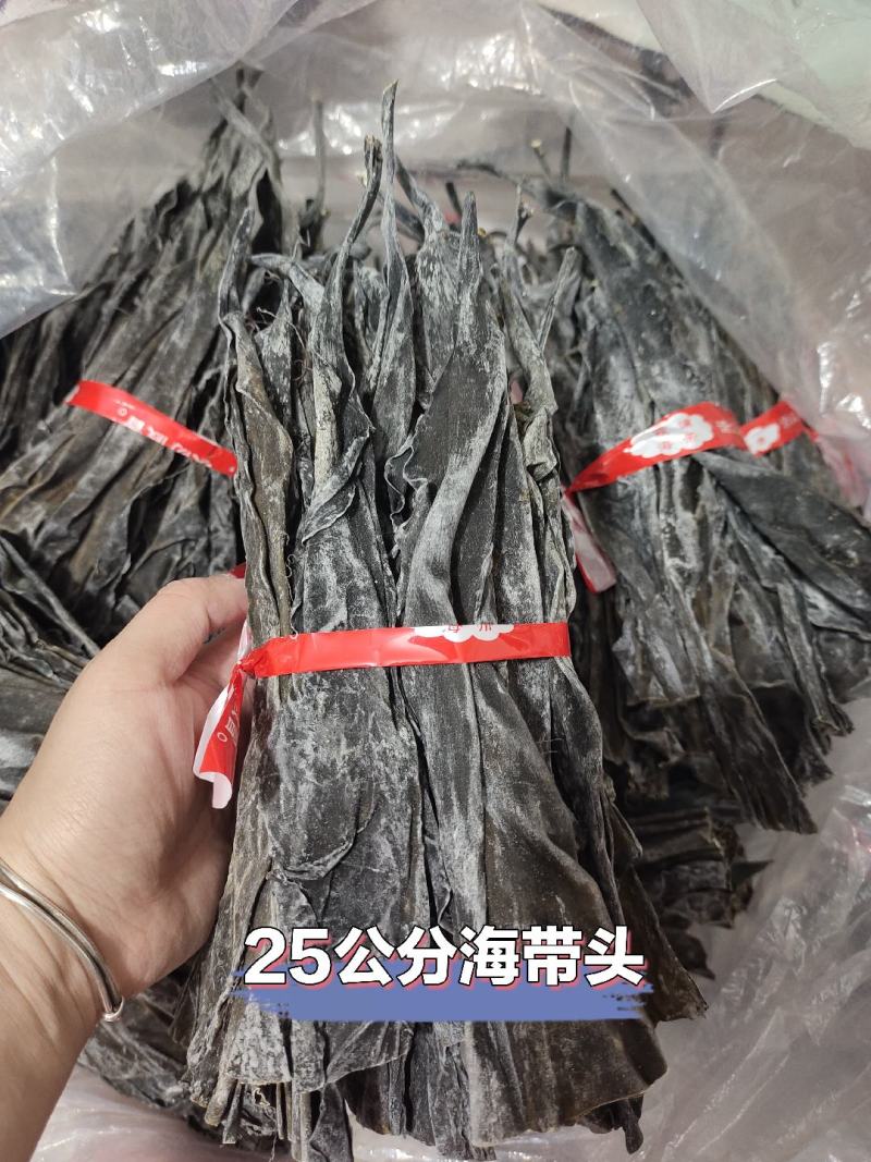 霞浦海带头，25公分，干净无沙，量大可聊