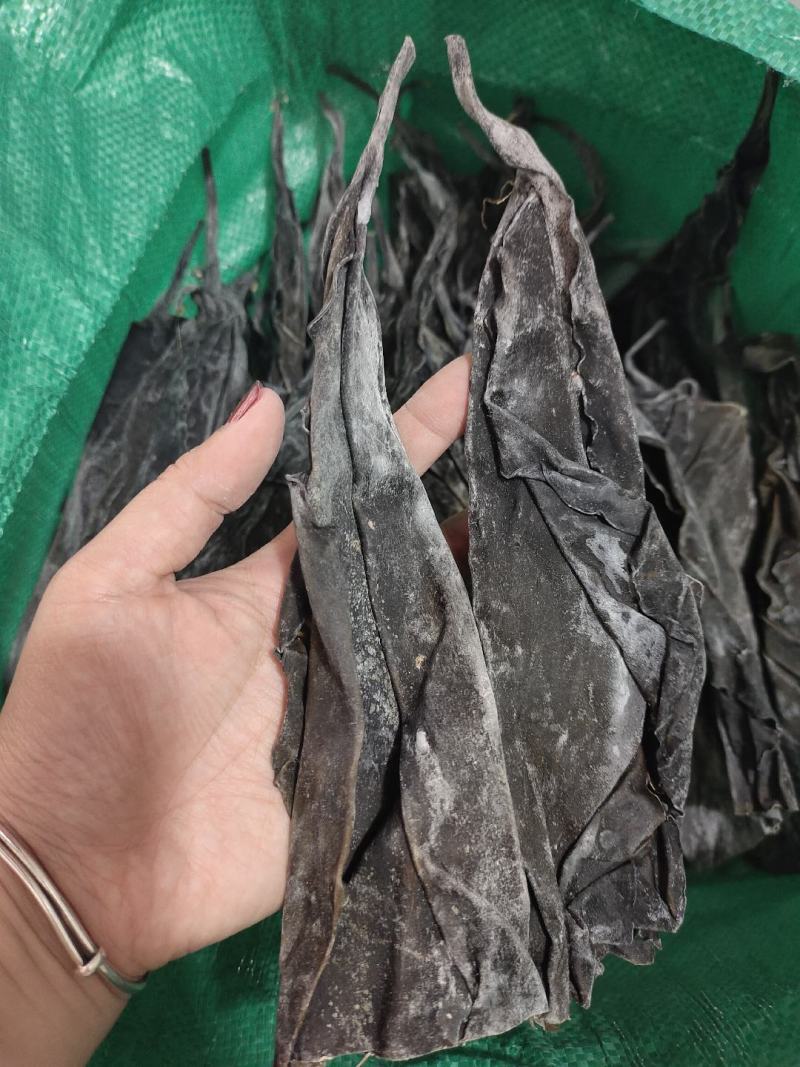 霞浦海带头，25公分，干净无沙，量大可聊