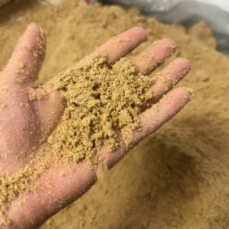 发酵玉米面