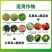 飞防叶面肥增产套餐小麦花生玉米高粱生姜瓜果蔬菜药材一喷防