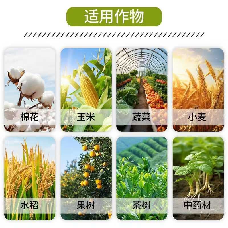 芸乐收增产套餐防病果树蔬菜小麦大蒜辣椒水稻玉米花生药材