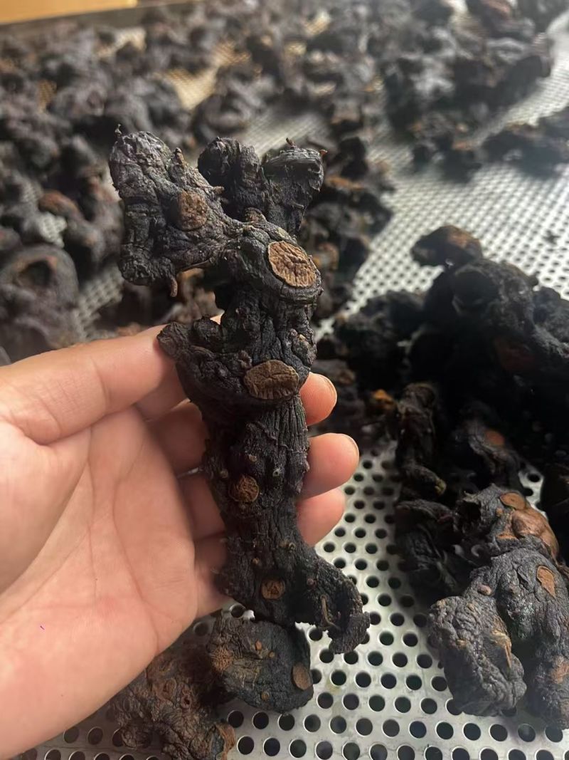 正品深山野生黄精九蒸九晒正宗多节即食山货优质九制条形
